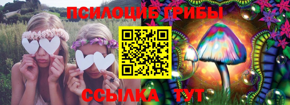 Галлюциногенные грибы Cubensis  Псилоцибиновые грибы мухоморы  Новокубанск  где найти наркотики  Вход с VPN 